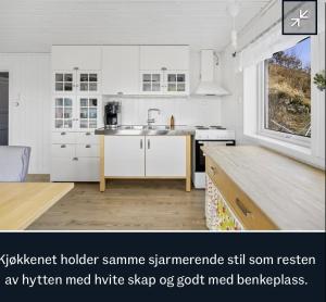 een keuken met witte kasten en een spoelbak bij Feriehus Tripperåsen Moi  +8 foto's