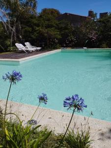 Naturlandskabet i nærheden af hotellet