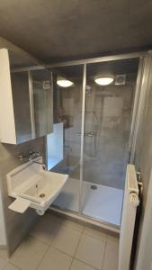 GouvyにあるAu Vieux Gouvyのシャワーと白い洗面台を備えたバスルーム +34枚の写真