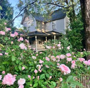 a house with pink roses in front of it at The Whitmore Inn in Weaverville