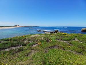 a beach with a field of flowers and the ocean at Berry World in Timboon