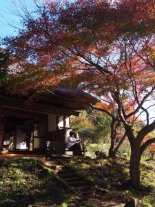 een persoon op een bankje onder een boom bij BoBuchi in Ichihara