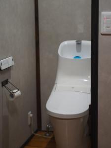 ein Badezimmer mit einer weißen Toilette in einer Kabine in der Unterkunft BoBuchi in Ichihara + 12 Fotos