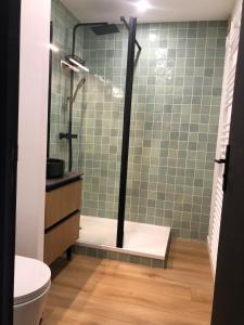 a bathroom with a shower with a toilet and green tiles at Studio vue sur la mer in Neufchâtel-Hardelot