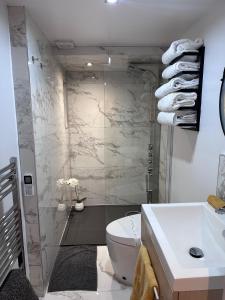 a bathroom with a shower and a toilet and a sink at Peaceful and Stylish Garden Flat Close to Transport and City Centre in Glasgow