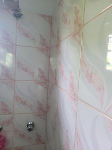a bathroom with a shower with red flowers on the tile at Shalom Home Stay in Nadi International Airport