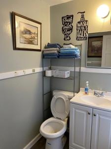 a bathroom with a toilet and a sink at Cozy 1BR Retreat Historic Peaceful Stay Smart TV VSU in Valdosta