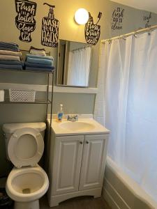 a bathroom with a toilet and a sink and a mirror at Cozy 1BR Retreat Historic Peaceful Stay Smart TV VSU in Valdosta +51 photos