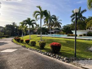a park with palm trees and a swimming pool at Sueño al Mar Residence & Hotel in Potrero