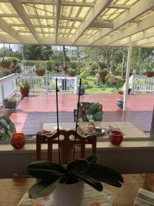 a table with a potted plant on a patio at Puti Puti BNB in Kaitaia