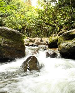 a stream of water with rocks and trees at Sempiterno- la cabaña Whispering Wind in La Vega +4 photos
