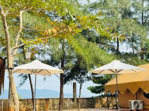 Dos sombrillas en una playa con árboles al fondo. en Khu Camping & Homestay Ven Biển, en Ấp Phước Tĩnh