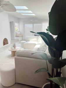 een woonkamer met een witte bank en een plant bij The Summer House in Long Jetty