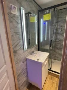 Koupelna v ubytování Confort Appart 2