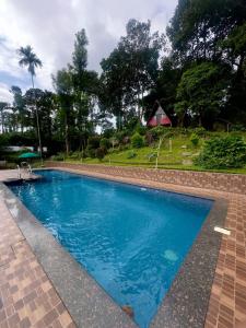 Πισίνα στο ή κοντά στο Grassland Voyages