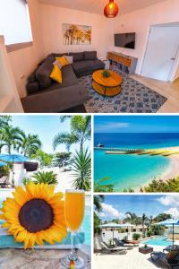 a collage of pictures of a living room with a sunflower at Casa Verde Hotel - Steps to the Beach, Pool, Restaurant & Bar in Rincon