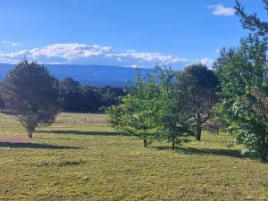 Villa Los MolinosBosquemolinos的远处有树木的草地 更多6张照片