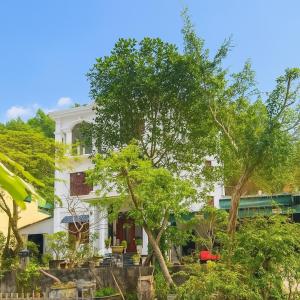 Zahrada ubytování Hồng Trà Hotel Quảng Ninh + 2 fotografie