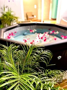 un jacuzzi avec une plante devant dans l'établissement Appartement spacieux à Le Lamentin, 95 m², vue mer, à Morne Vert