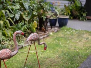 Aed väljaspool majutusasutust Bungalow Eight - 1930s charm near Pukekura Park