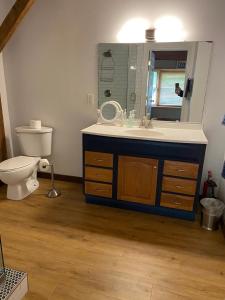 a bathroom with a sink and a toilet and a mirror at Delightful Vacation Rental for Group Getaway in Polk County, Tennessee in Reliance