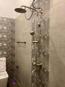 a shower stall in a bathroom with a toilet at Cinnamon Luxury Villa,Beruwala,Bentota in Beruwala