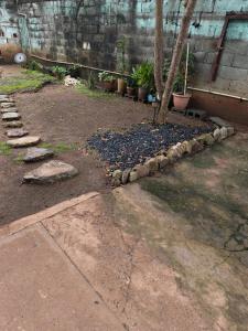 a garden with rocks and a tree in the middle at Yayunaturals 1 in Panama City +4 photos