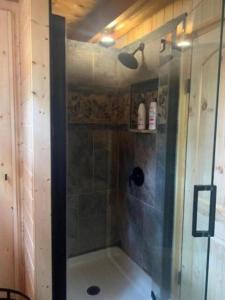 a shower with a glass door in a bathroom at Cozy Rustic Cabin in the Prescott National Forest near Lynx Lake in Prescott, Arizona in Walker