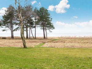 eine Gruppe von Bäumen auf einem Feld mit einem Pfad in der Unterkunft 4 person holiday home in Knebel in Knebel + 26 Fotos