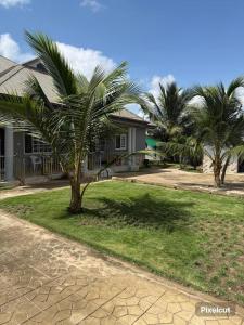 een palmboom voor een huis bij Groove Vacation Homes in Kasoa