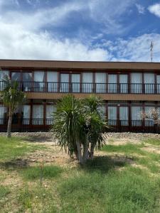 Fotografie z fotogalerie ubytování Kite Loop Homestay v destinaci Ấp Mỹ Hải + 6 fotografií