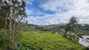 a view of a tea plantation in a field at Vivens Villas in Ooty
