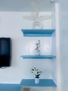 Φωτογραφία από το άλμπουμ του YAM Gensan Transient 