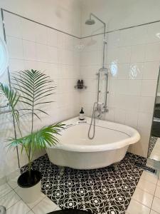 une baignoire dans une salle de bain avec une plante dans l'établissement PET Friendly Miners Cottage 'Baraka BnB', à Kalorama