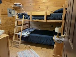 ein Schlafzimmer mit zwei Etagenbetten und einer Leiter in der Unterkunft Bitter Goose Cabin in Barnettstown