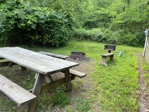 einen Picknicktisch und einen Grill im Hof in der Unterkunft Bitter Goose Cabin in Barnettstown