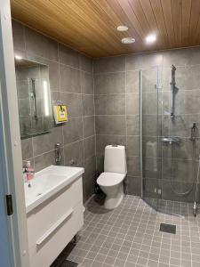 une salle de bain avec toilettes, douche et lavabo dans l'établissement Convenient Apartment for 4 with Sauna, à Seinäjoki