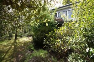 a yard with trees and a house with a yard at Central studio with spabath in Daylesford