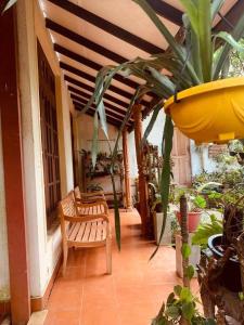 a porch of a house with a bench and plants at Ceylon Bliss Retreat- Kandy Wellness Hotel in Kandy