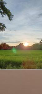 a field of green grass with the sunset in the background at Vapanakhaw Ubon in Ubon Ratchathani