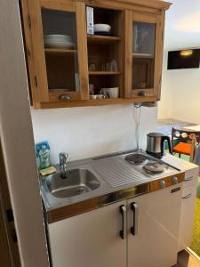 a kitchen with a sink and a stove at Gassermühle - Studio Appartments in Eggen +20 photos