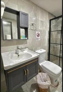 DisahRUM ROYAL CLASSIC lUXURY CAMP的带水槽和马桶的浴室