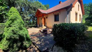 Κήπος έξω από το GSH Apartman 1