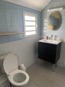 un bagno con un water, un lavandino e uno specchio di La kazolie a Sainte-Rose