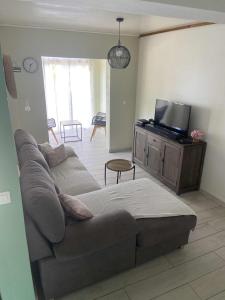 un soggiorno con divano e TV a schermo piatto di La kazolie a Sainte-Rose