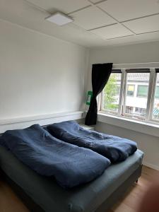 un grand lit dans une chambre avec une fenêtre dans l'établissement Kirkenes town apartments, à Kirkenes