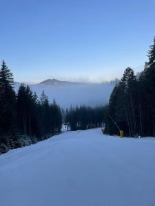 Příroda nedaleko chaty