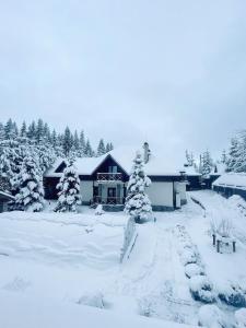 Садиба На Перевалі v zimě