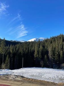 Příroda nedaleko chaty + 18 fotografií