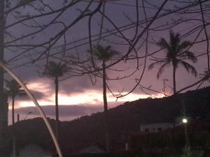 a group of palm trees in front of a sunset at Acampamento Aloha solemar in Praia Grande +6 photos